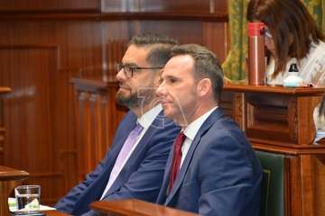 Pleno ordinario de febrero de 2020 (Foto TA)